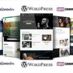 build modern and responsive wordpress website design